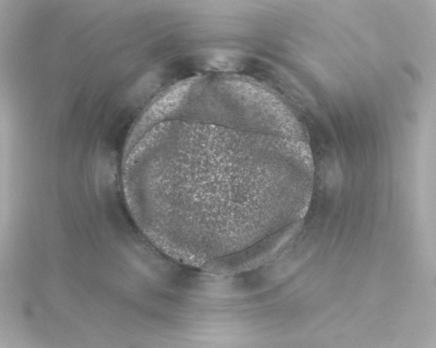 X0000115250328200911271910