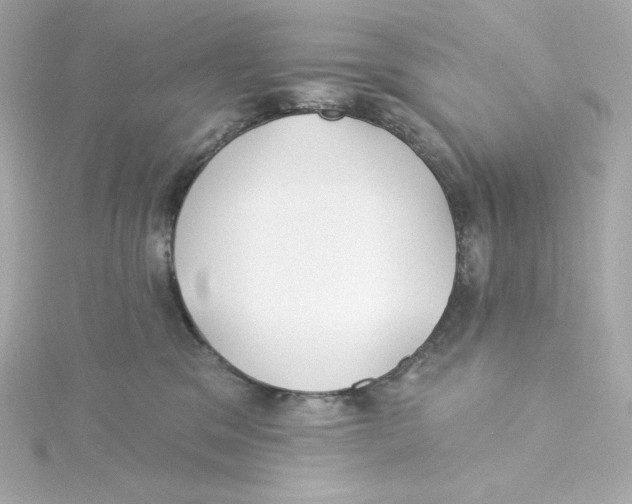 X0000115250329200911271910