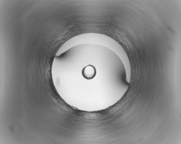 X0000115250332200911271910