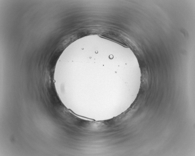 X0000115250333200911271910