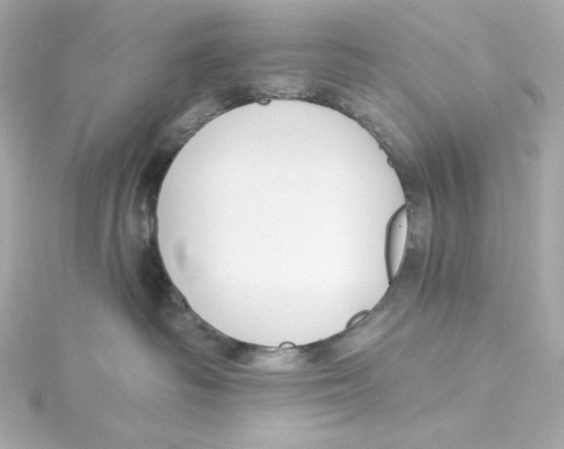 X0000115250334200911271910