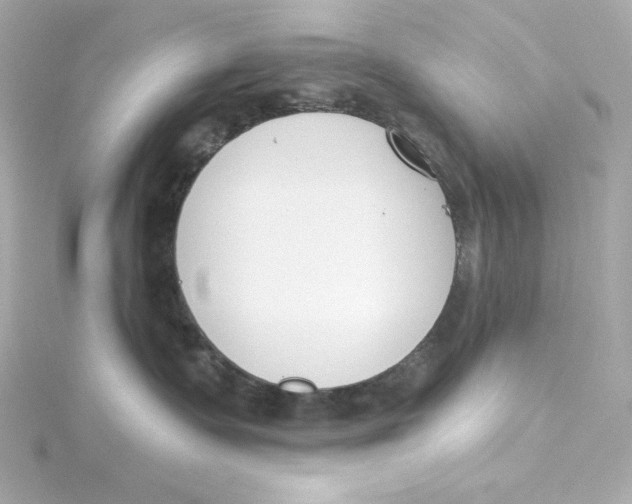 X0000115250335200911271910