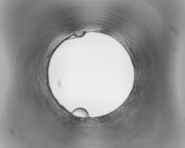 X0000115250337200911271909