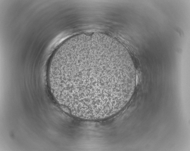 X0000115250339200911271909