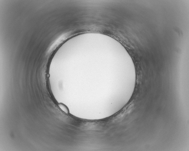 X0000115250341200911271909