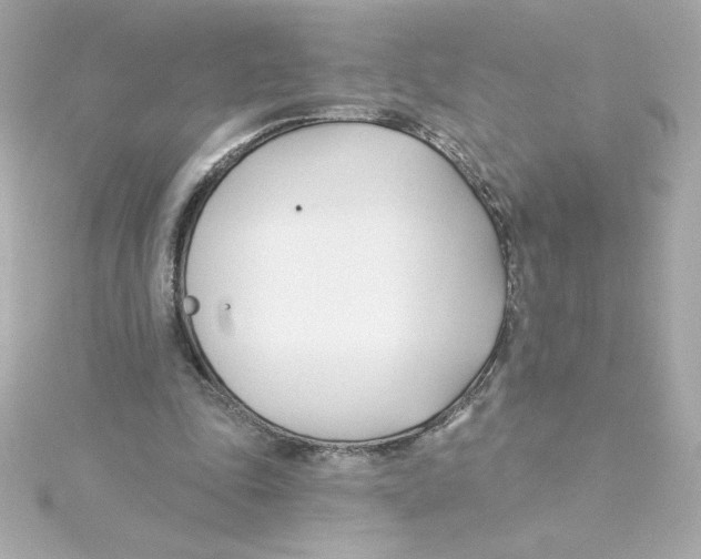 X0000115250343200911271909