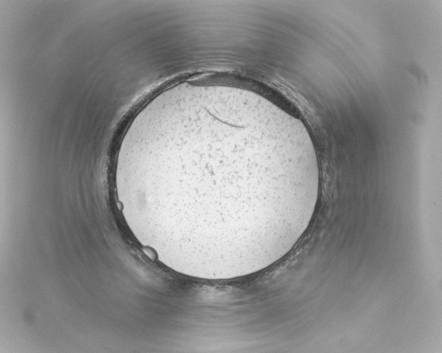 X0000115250346200911271909