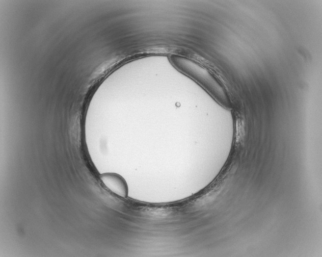 X0000115250349200911271909