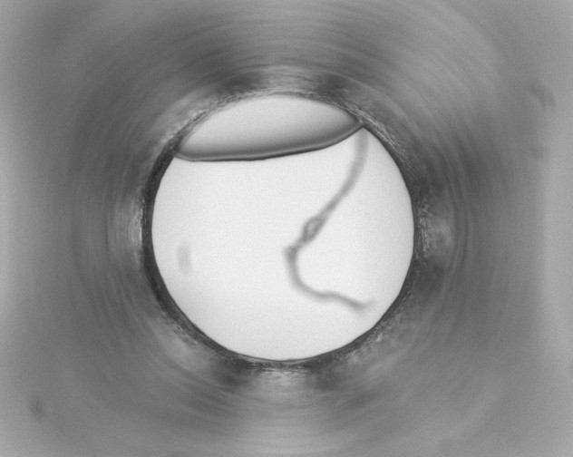 X0000115250350200911271909