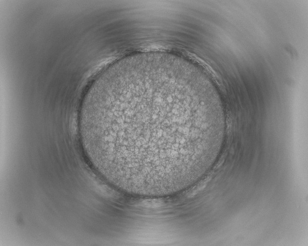 X0000115250353200911271909