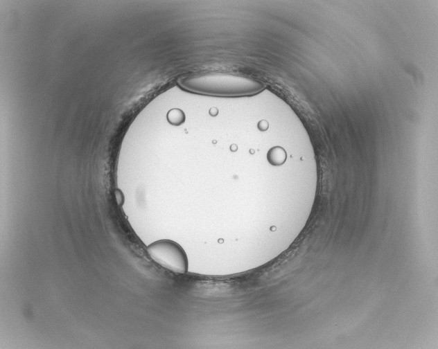 X0000115250354200911271909