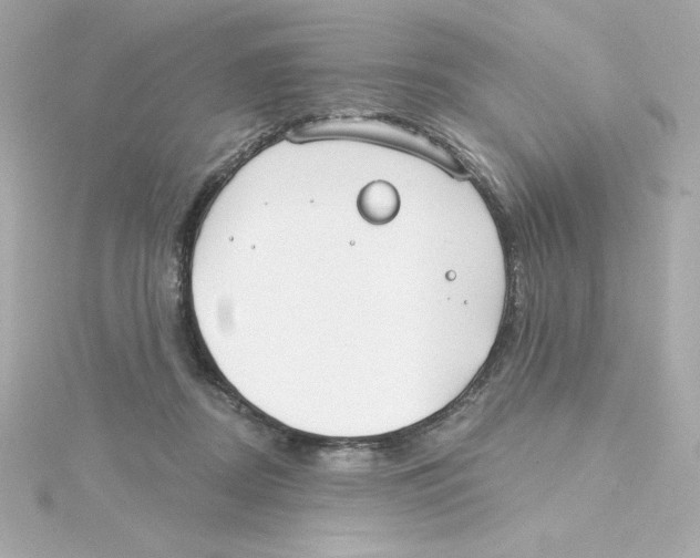 X0000115250362200911271910