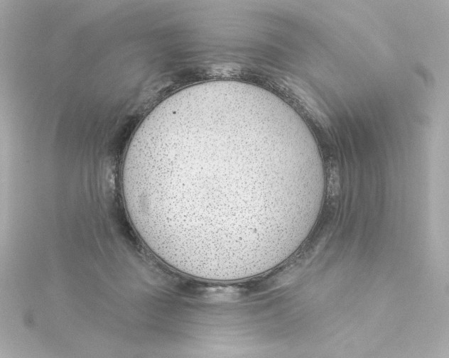 X0000115250363200911271910