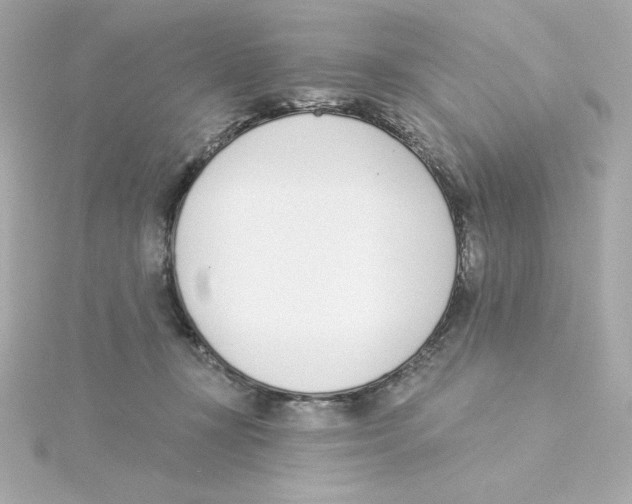 X0000115250367200911271910