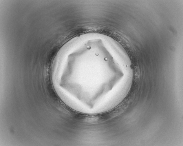 X0000115250369200911271910