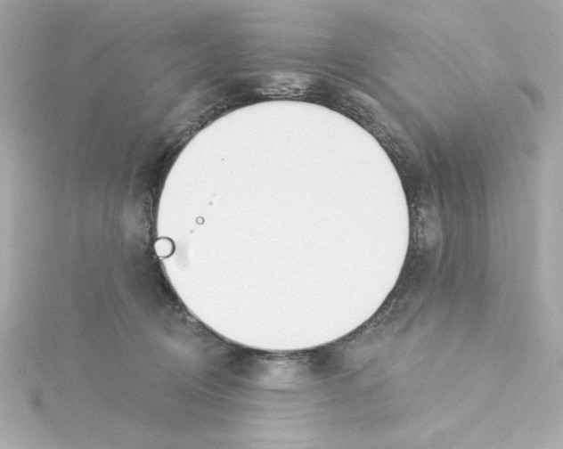 X0000115250370200911271910