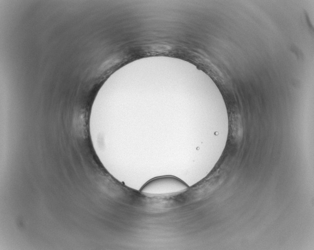 X0000115250378200911271910