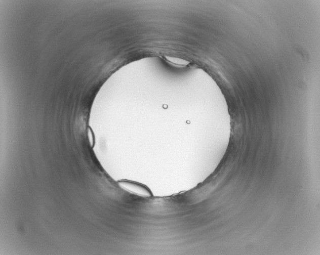 X0000115250382200911271910