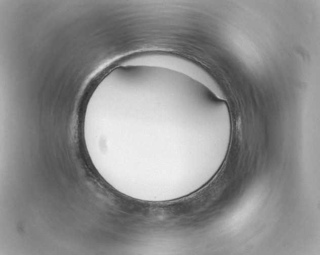 X0000115250388200911271909