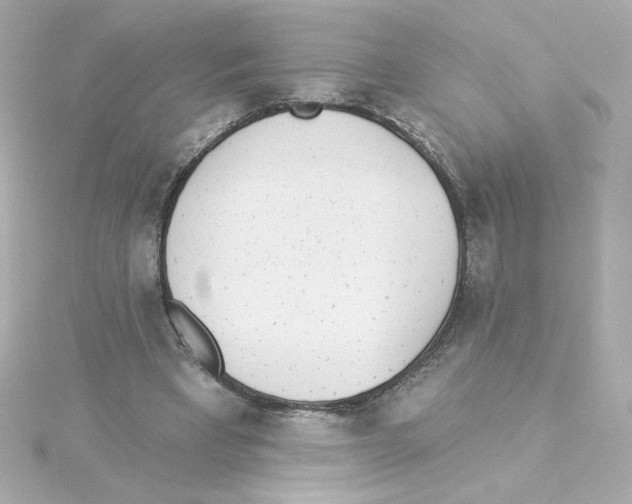 X0000115250393200911271909