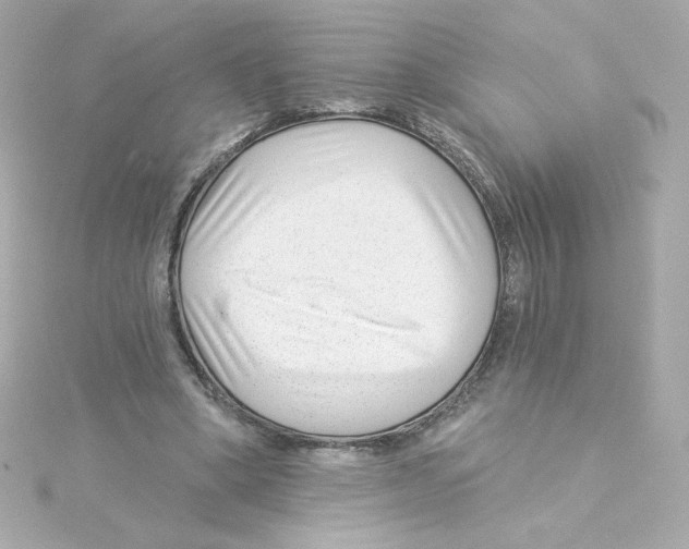 X0000115250394200911271909