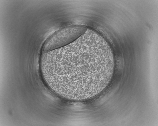 X0000115250395200911271909