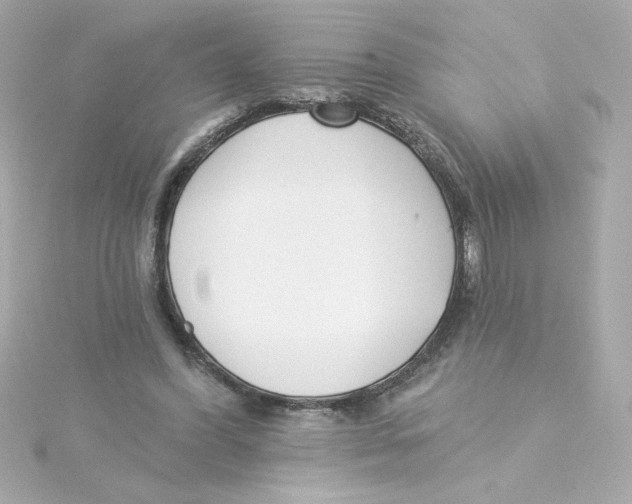 X0000115250396200911271909