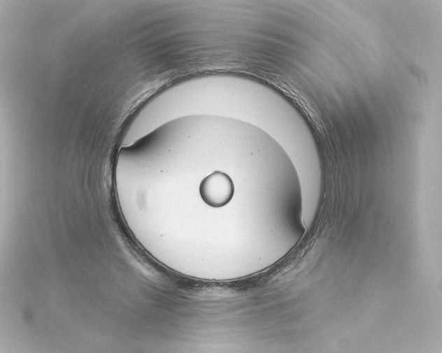 X0000115250397200911271909