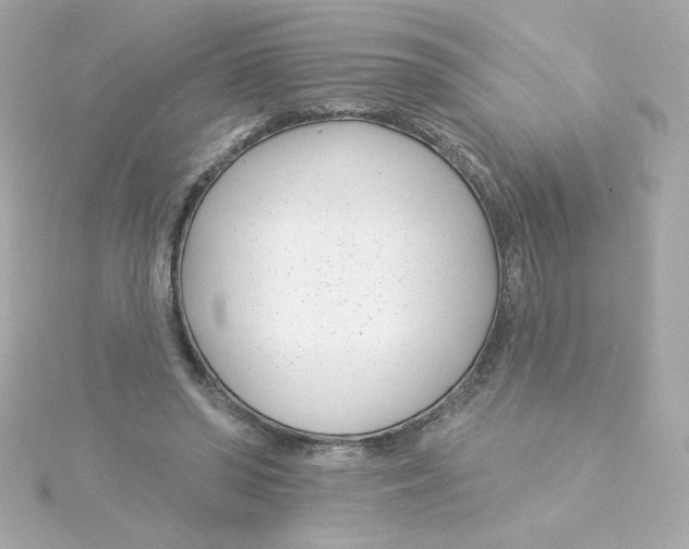 X0000115250398200911271909