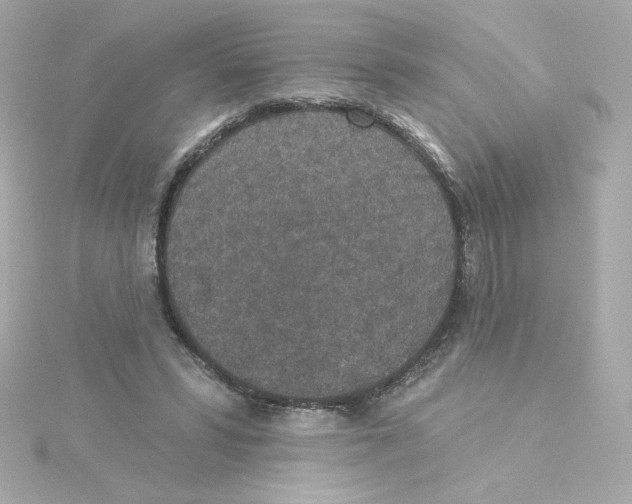 X0000115250399200911271909