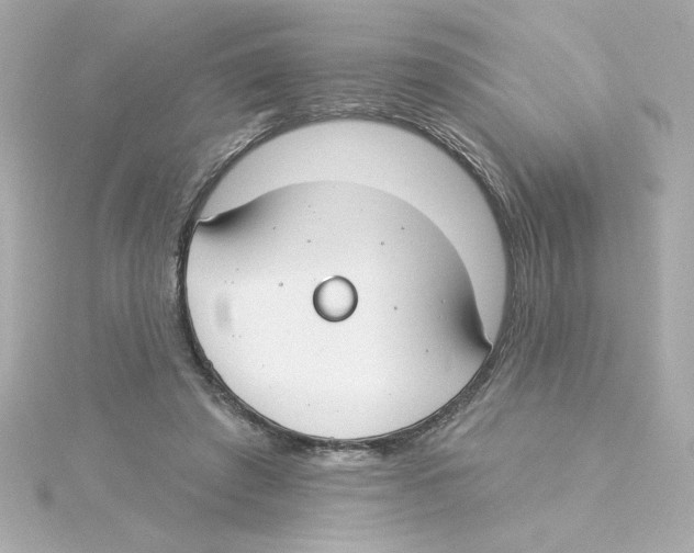 X0000115250401200911271909