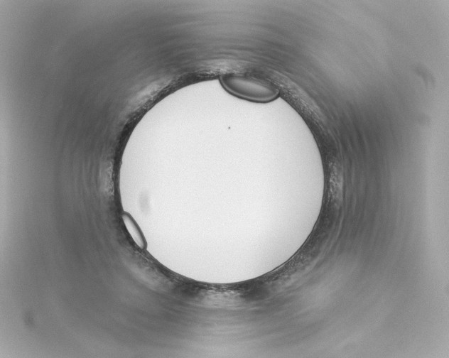 X0000115250403200911271909