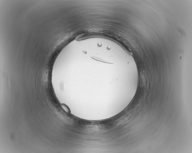 X0000115250404200911271909