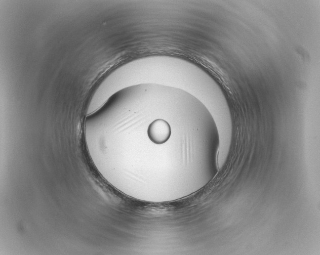 X0000115250405200911271909