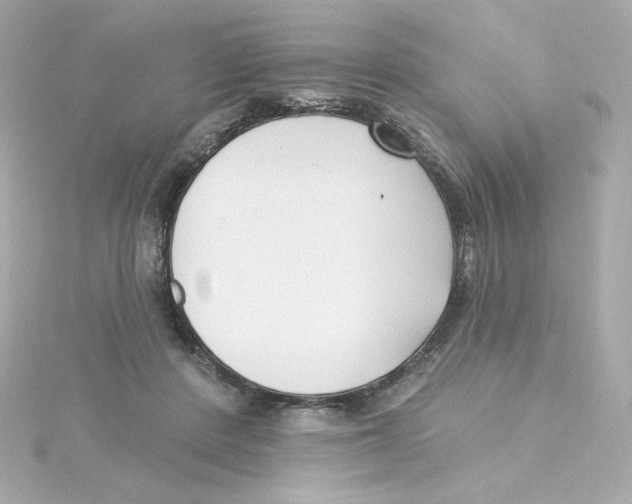 X0000115250408200911271909