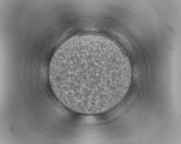 X0000115250409200911271909