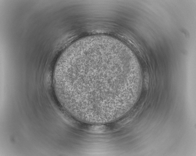 X0000115250410200911271909