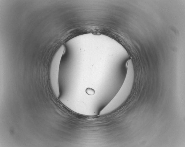 X0000115250413200911271909