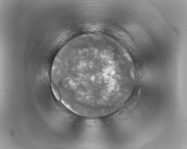 X0000115250415200911271909