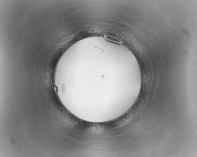 X0000115250416200911271909