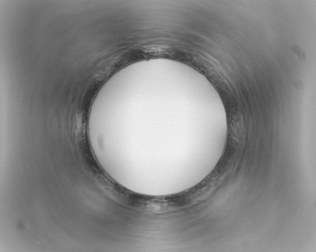 X0000115250420200911271909