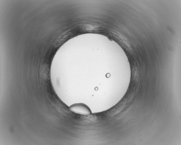 X0000115250421200911271909