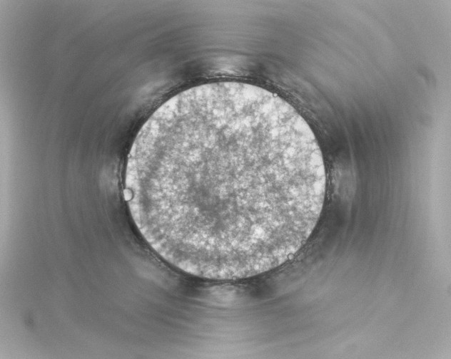 X0000115250423200911271909