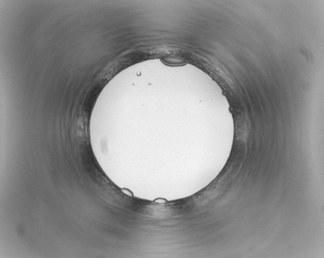 X0000115250425200911271908