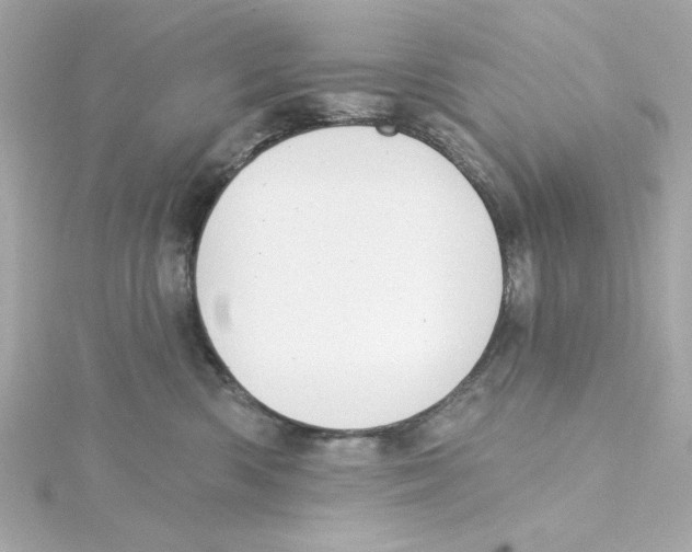 X0000115250426200911271908