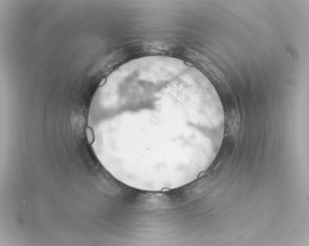 X0000115250427200911271908