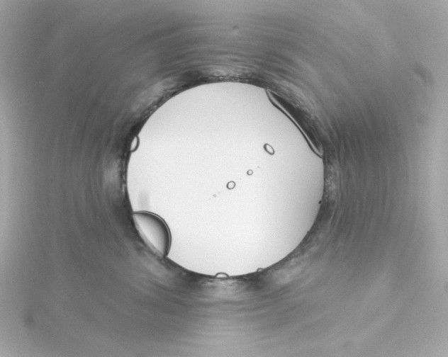 X0000115250428200911271908