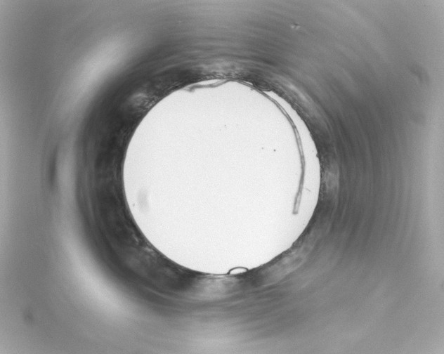 X0000115250429200911271908