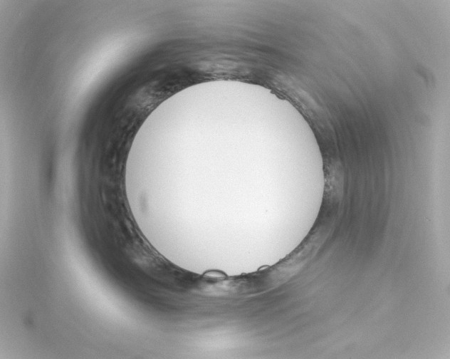 X0000115250430200911271908