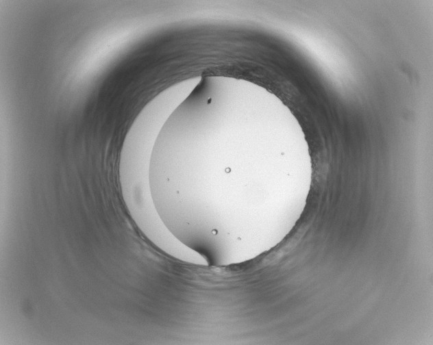 X0000115250431200911271908